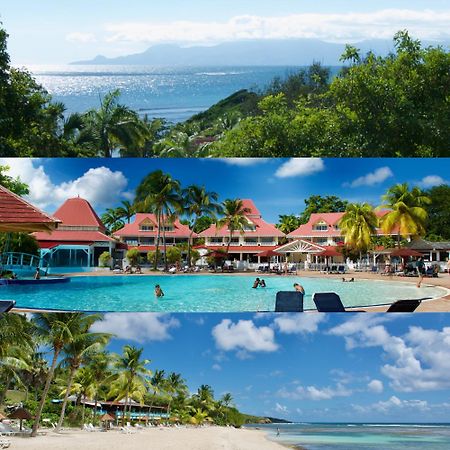 Studio Olia A P&V - Plages, Piscines Et Vue Mer! Сент-Анн Экстерьер фото