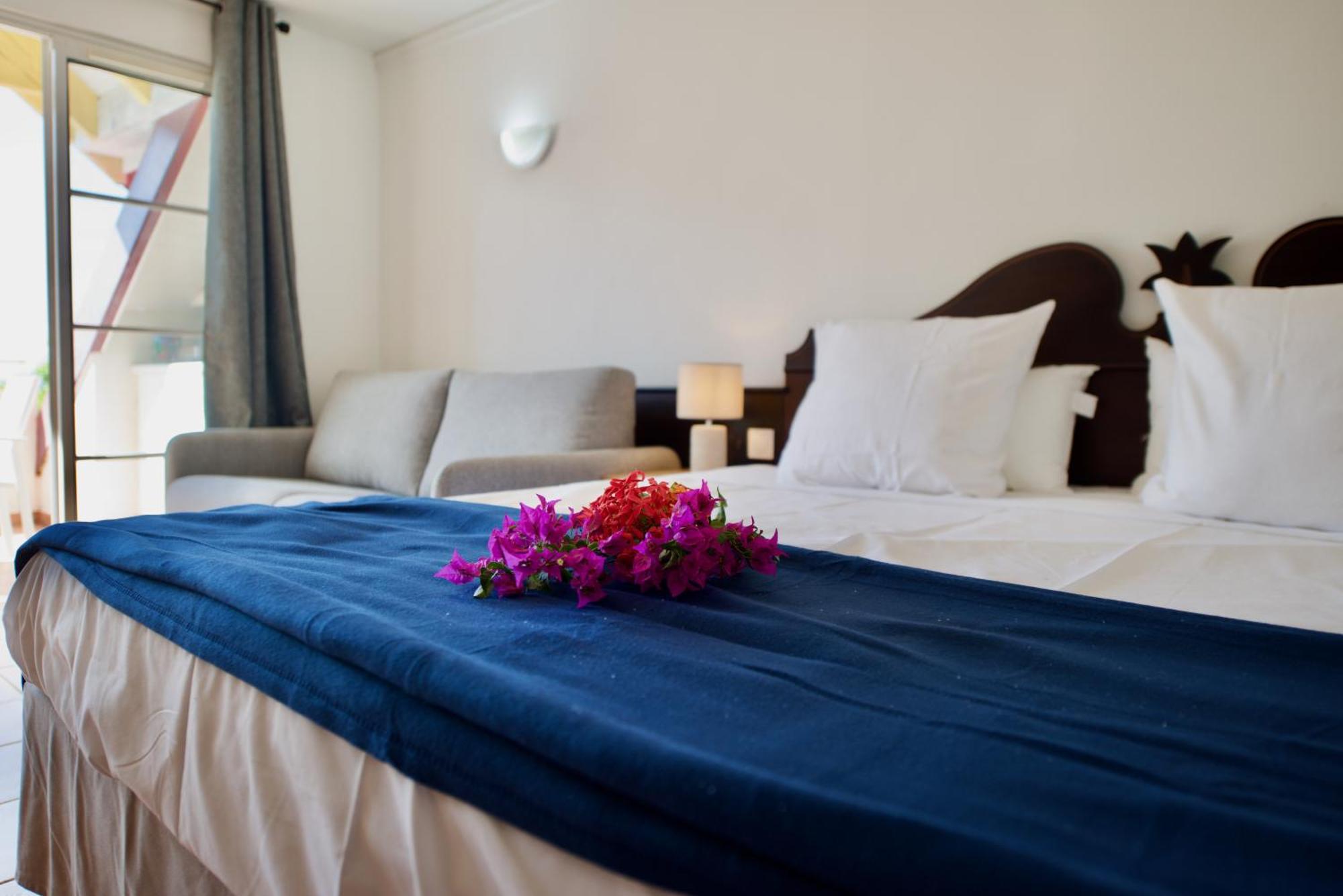 Studio Olia A P&V - Plages, Piscines Et Vue Mer! Сент-Анн Экстерьер фото