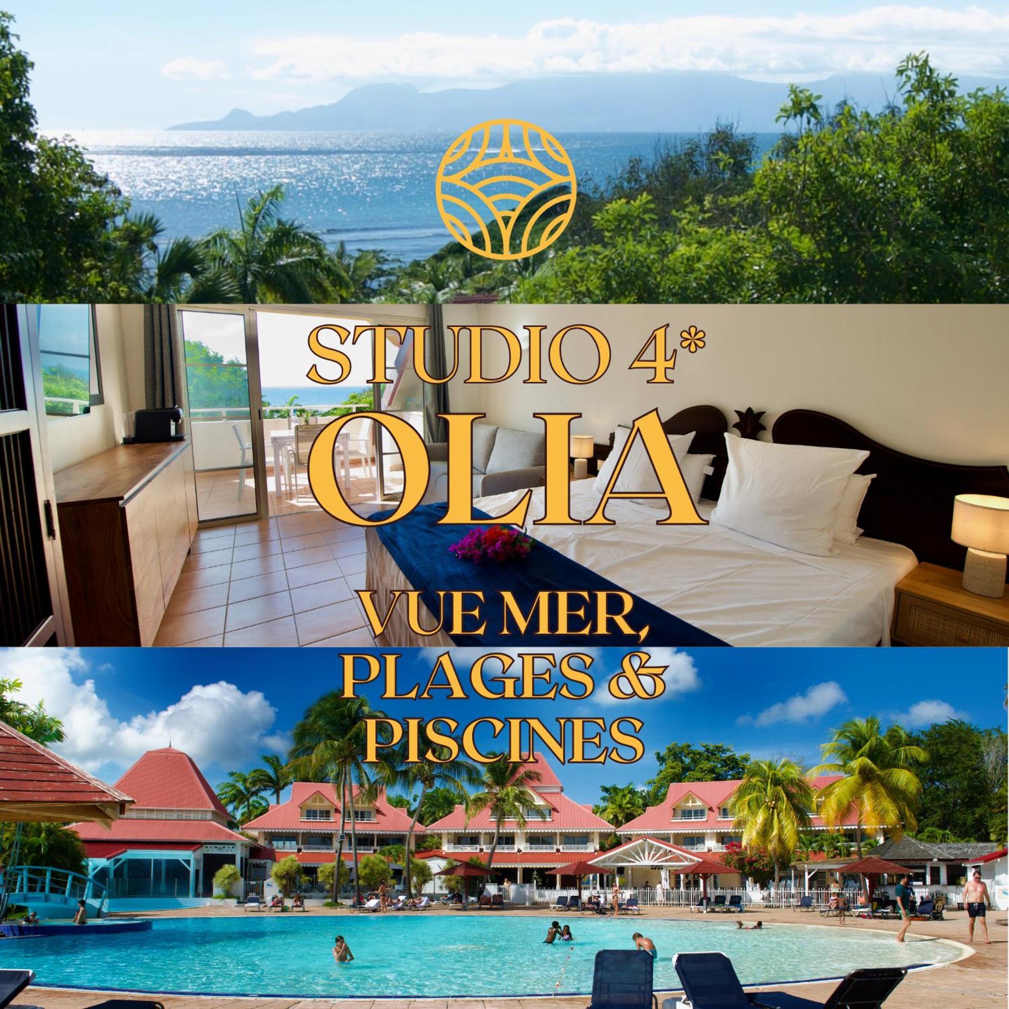 Studio Olia A P&V - Plages, Piscines Et Vue Mer! Сент-Анн Экстерьер фото